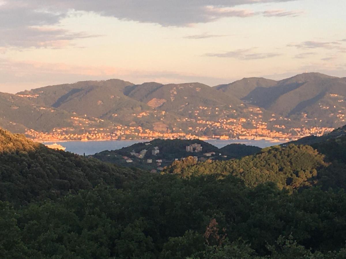 New Penthouse - Cinque Terre, Tuscany, Liguria, Lerici #4 외부 사진