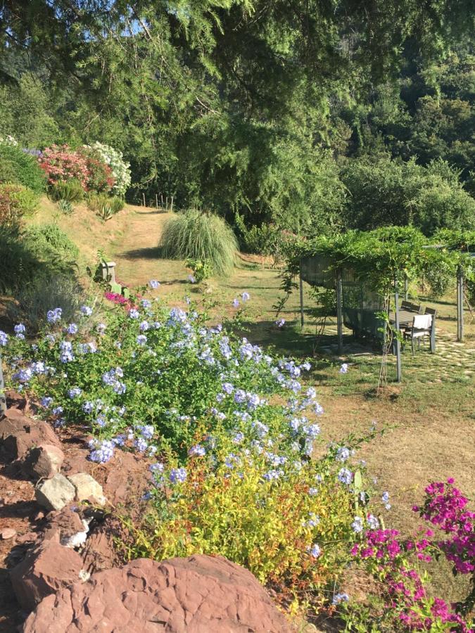 New Penthouse - Cinque Terre, Tuscany, Liguria, Lerici #4 외부 사진